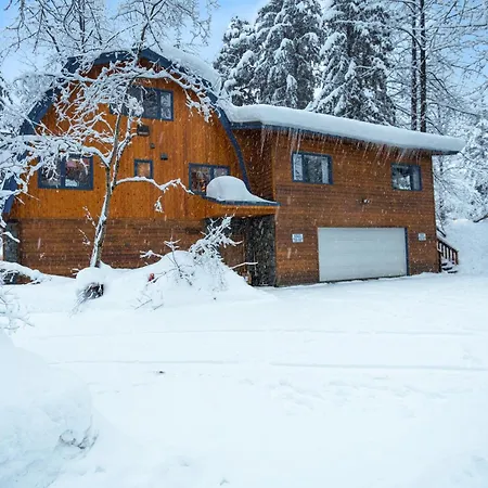 Appartement Darwin'S à Girdwood Extérieur photo